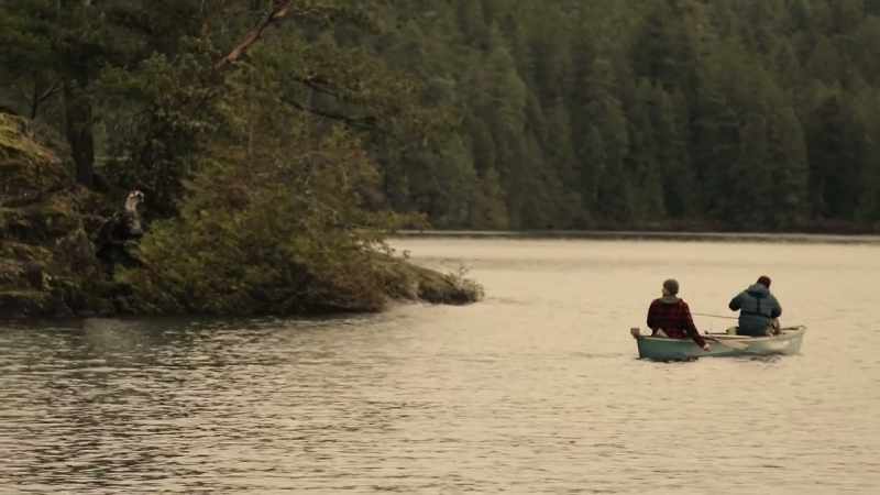 HANIF: If we can find those trees around where we are