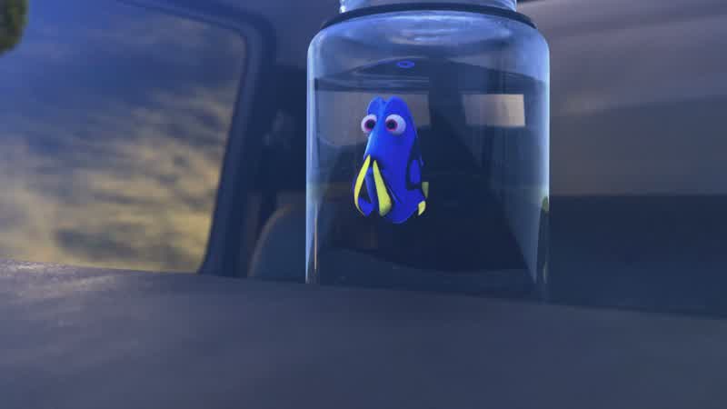 Hank I'm gonna ask you to do something crazyI'm okay with crazy
