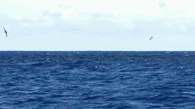 [hank speaking]