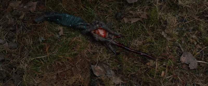 HANSEL Revenge doesn't change the past