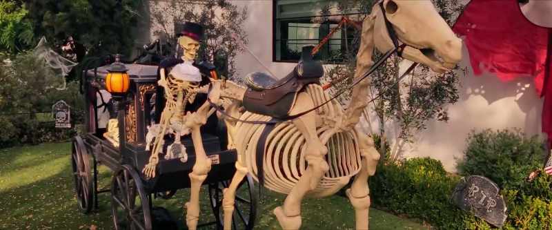 Happy Halloween. - Oh, sorry about this