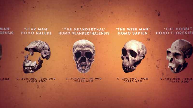 Hare: 50,000 YEARS AGO, THERE WERE OTHER HUMANS!
