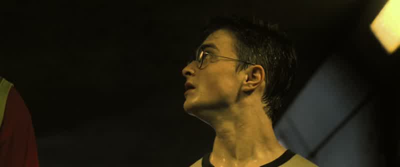 HARRY: Dudley, run