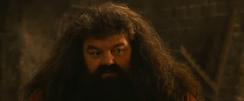 Harry! Harry! Happy birthday