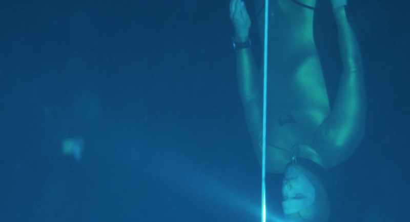 HARRY: Look at his streamlining. It's just unbelievable