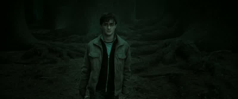 Harry? No! What are you doing here? Quiet!