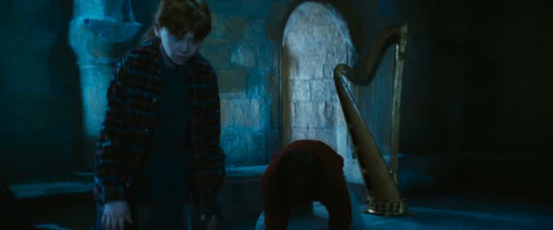 Harry Potter, this is where I leave you