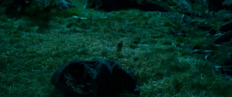 Harry! Remus! Remus!