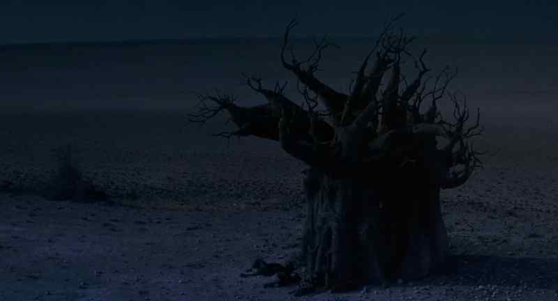 (Harry) So you really think we can make it to Karlstown?