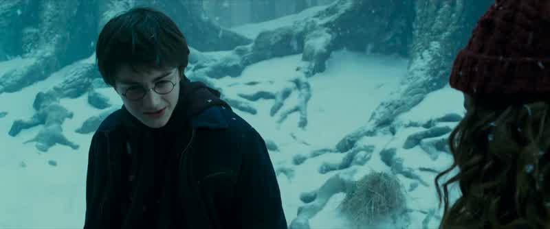 Harry, what happened?
