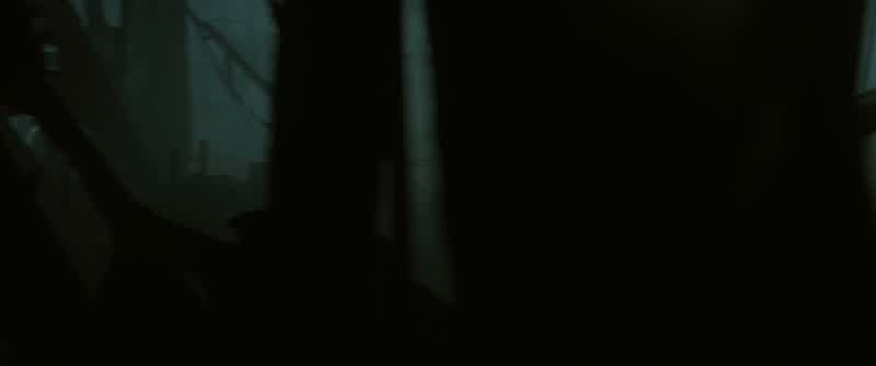 Harry! - Where are you? - Harry!