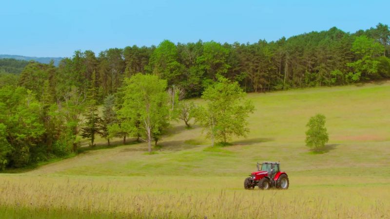 Harvest is a time of celebration, but in the tiny world