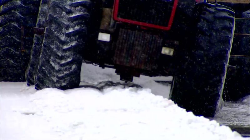 HARVESTERS SCOOP UP SALT FROM SHALLOW CRYSTALLIZATION PONDS
