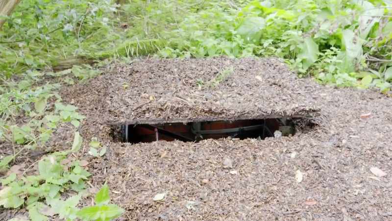 (hatch creaks open) (ground cover rustles)