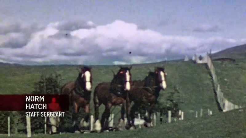 Hatch: ONCE THEY GOT OUT INTO THE COUNTRYSIDE