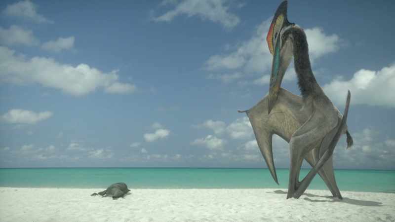Hatzegopteryx are Europe's top predators