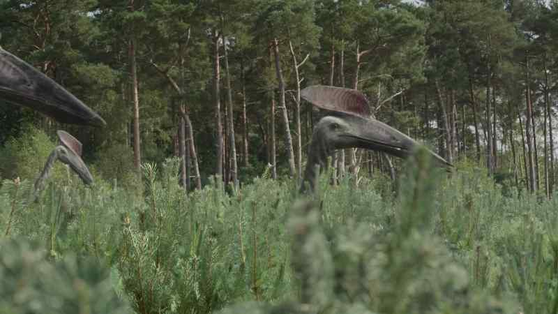 Hatzegopteryx are very intelligent pterosaurs