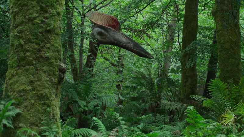 Hatzegopteryx stands 15 feet tall