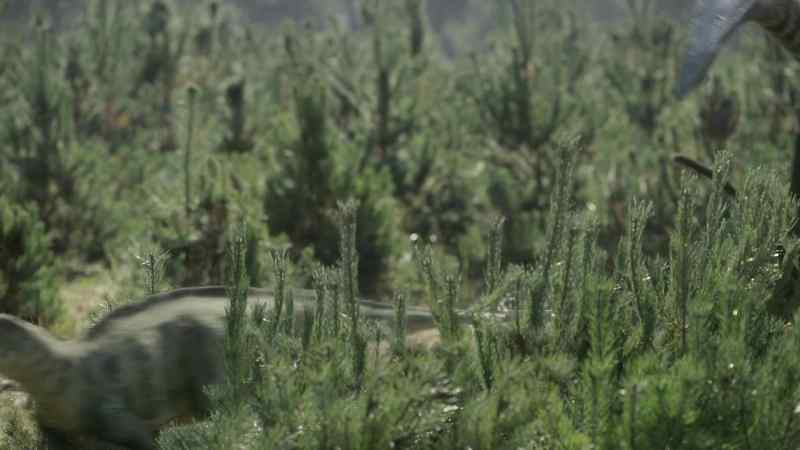Hatzegopteryx