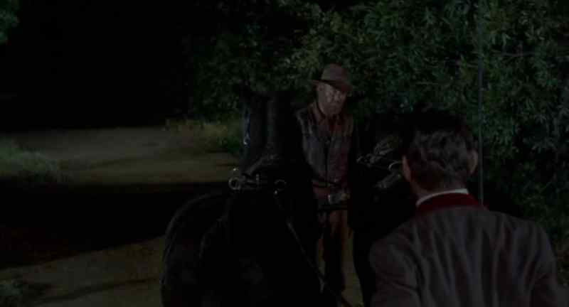 Haul them horses in