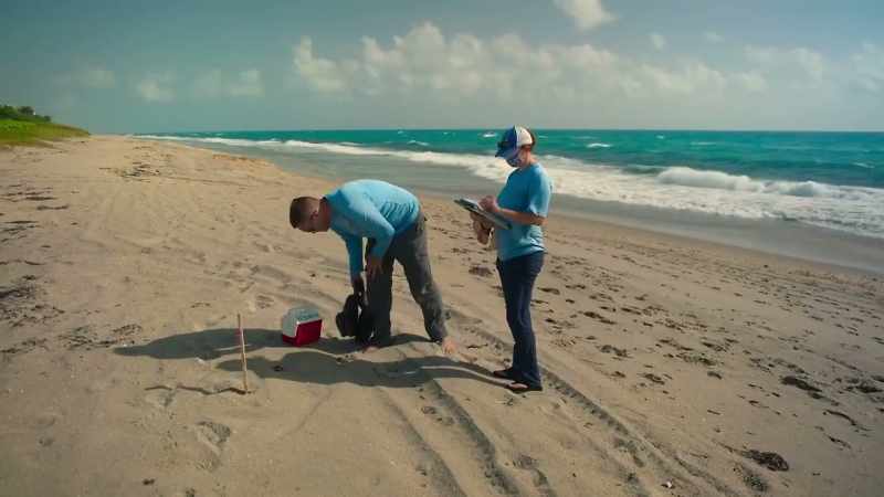 Have they been any more successful with the beach to themselves?