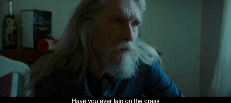 Have you ever lain on the grass