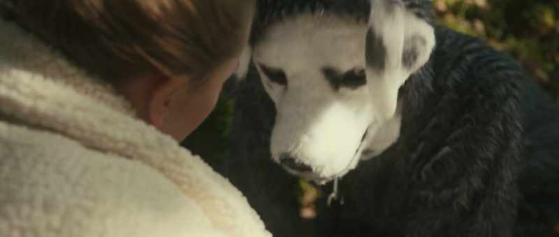 Have you found a way for us to escape? -We could run, now