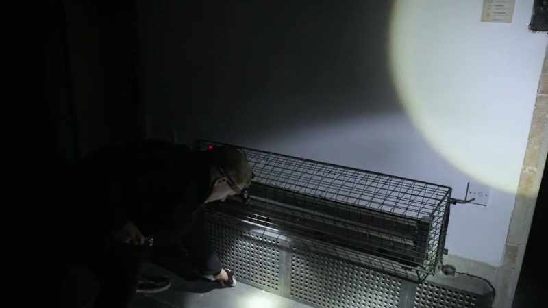 Have you got this on camera? Was it on the grate?