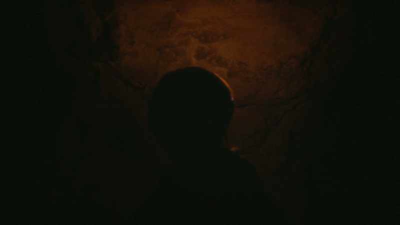 Have you in fact come back to Plato's Cave