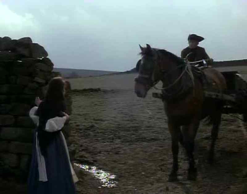 Have you seen Heathcliff?