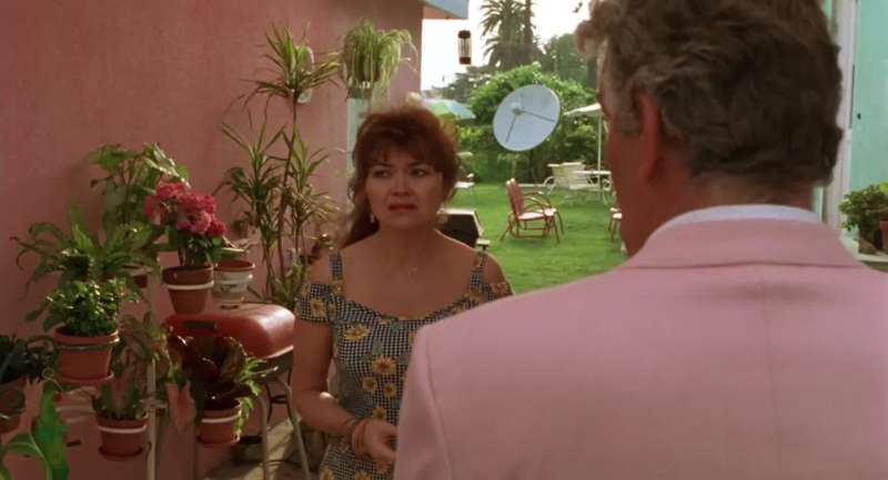 Have you spoken with Mr Palmer since your husband blew up