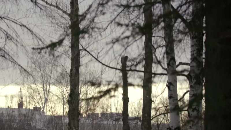 Having filmed documentaries around the world