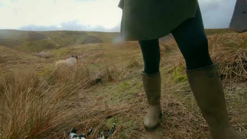 Having lost so many lambs this year