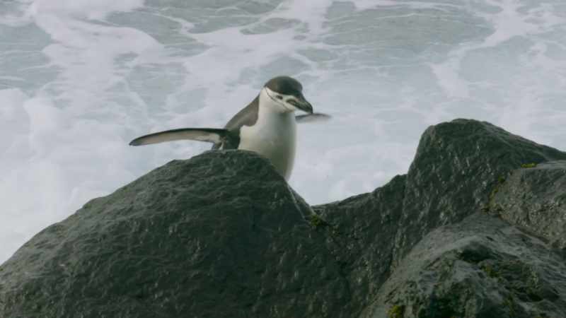 Having spent the winter at sea