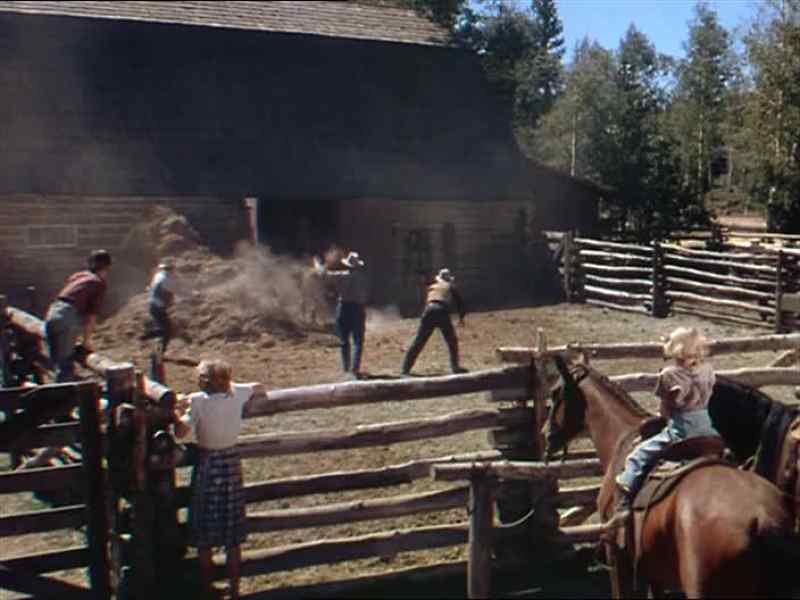 Haw!