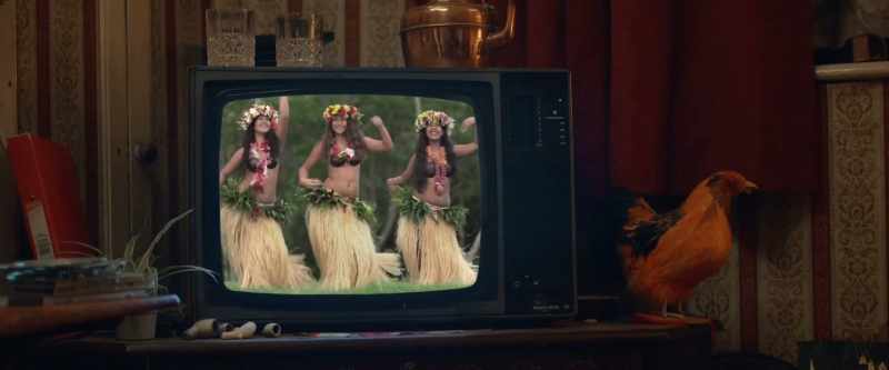 (Hawaiian music playing)