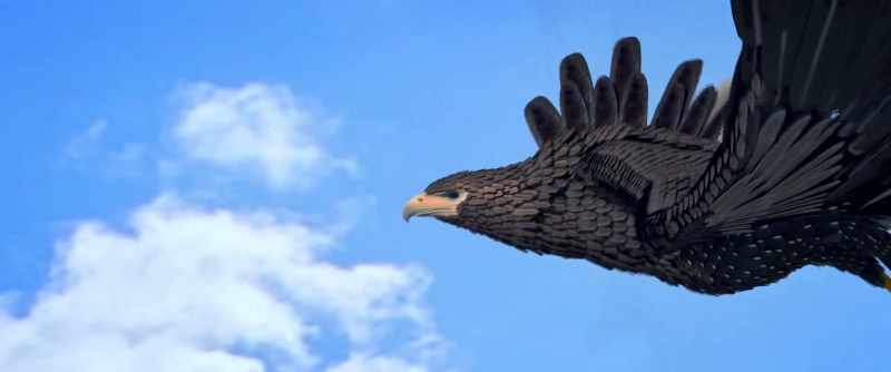 (HAWK SCREECHES, FLAPS WINGS)