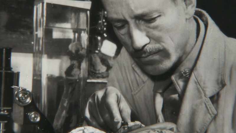He was a chain-smoking pathologist, wrote a bunch