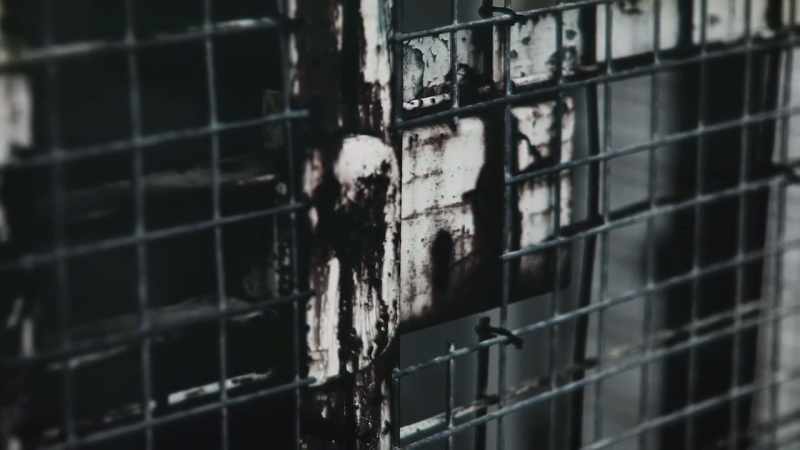 He again received an indeterminate sentence