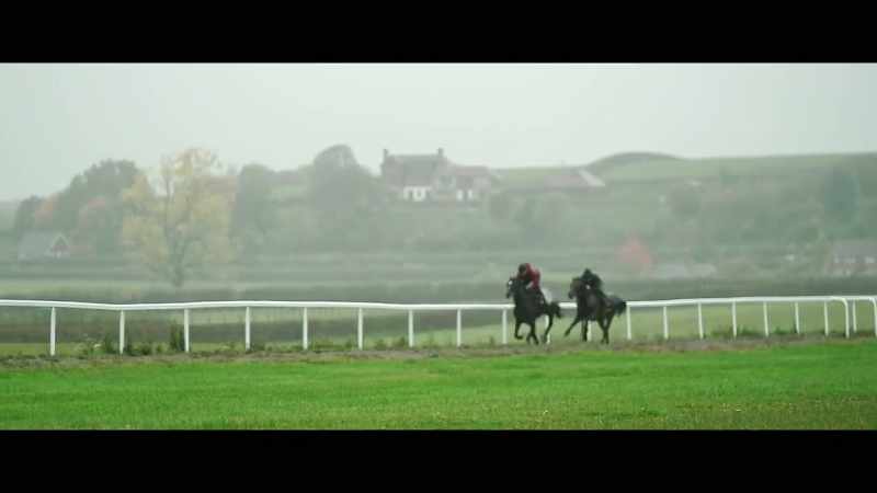 He has an enormous engine which every elite thoroughbred needs