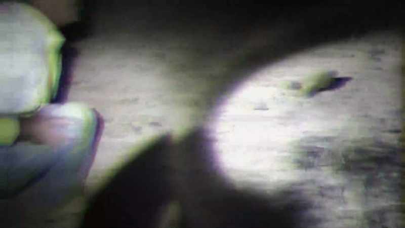 HE ANALYZES THE MYSTERY CREATURE'S MOVEMENT