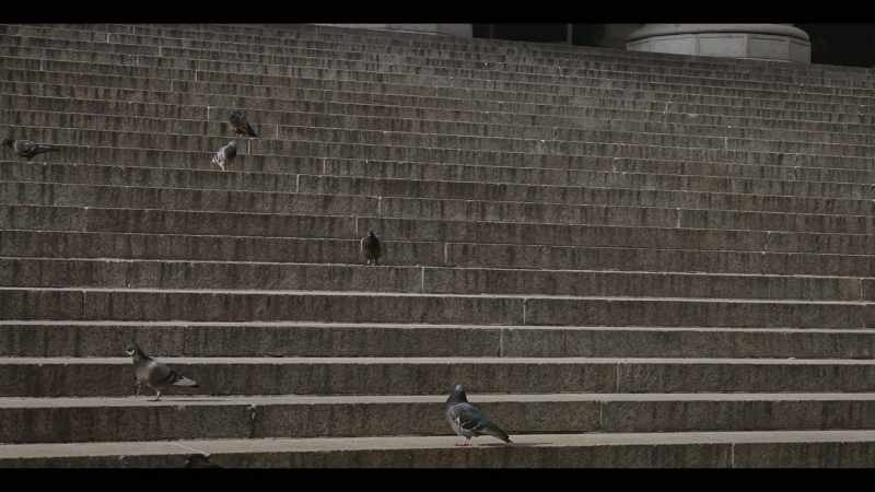 He was basically feeding pigeons in the park