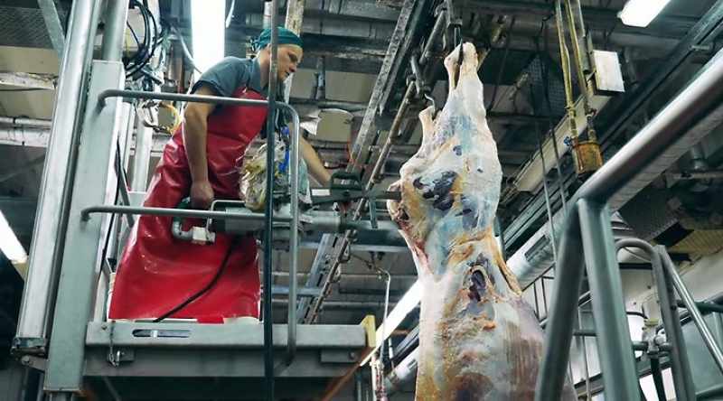 He breaks down full animal carcasses
