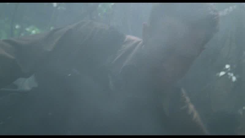 He came in to get the bodyHe's killing us one at a timeLike a hunterHe's using the trees