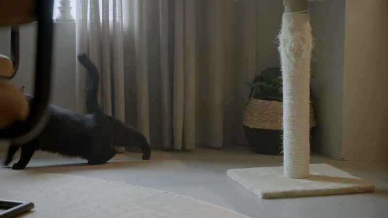 He causes as much mischief as his namesake
