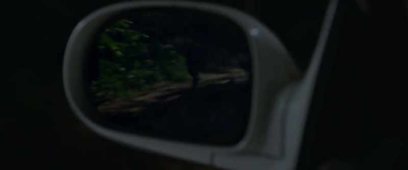 He chased