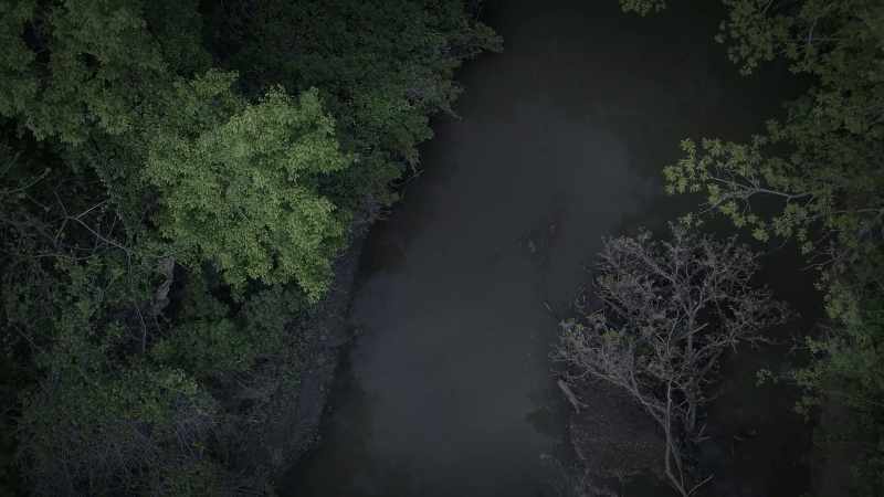 He could have floated down the creek