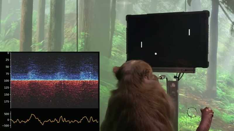 He is creating a chip that can be put into our brains