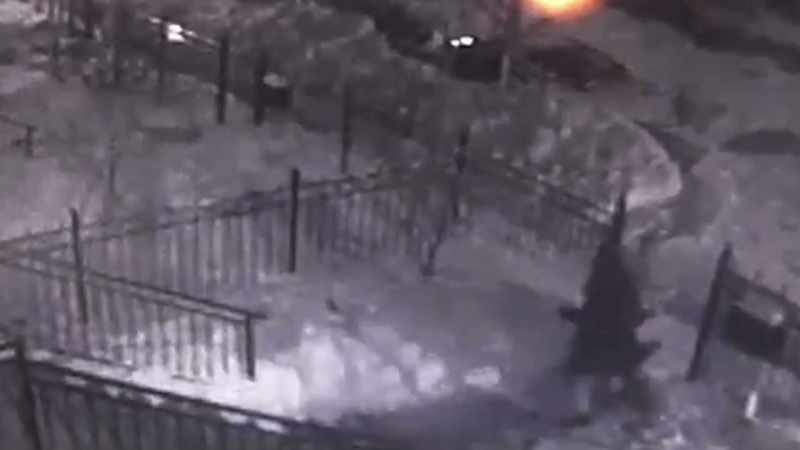 He decides to teach her a lesson in neighborhood manners