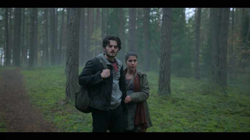 He doesn't understand you. - Then translate for me, Yara